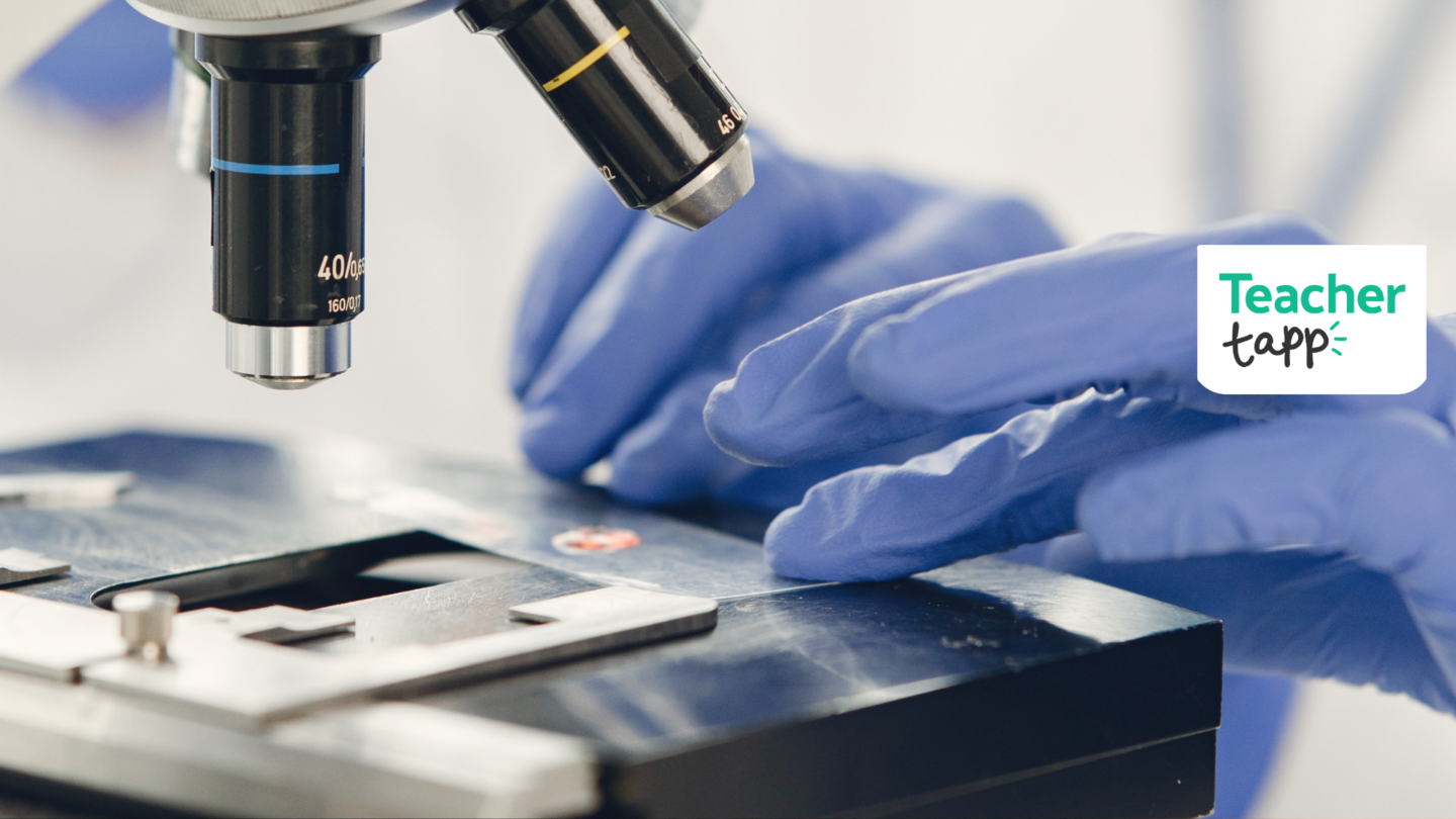 Ofsted - inspections under the microscope - Teacher Tapp